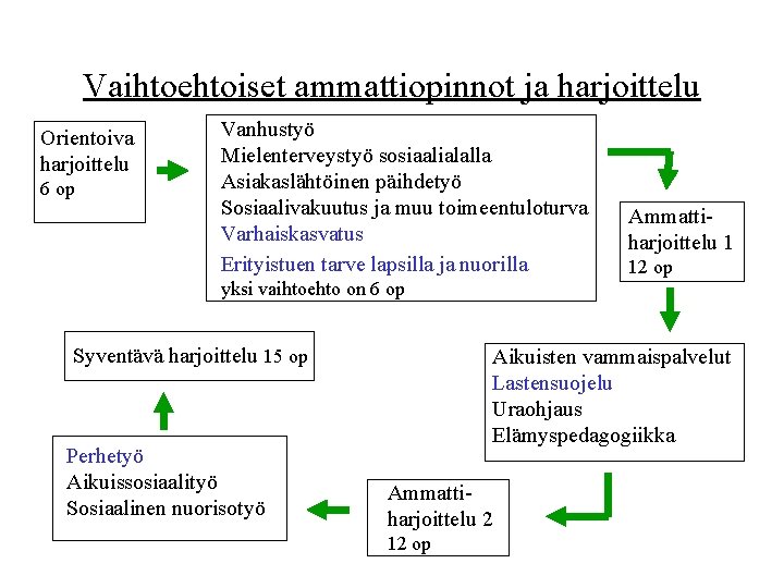 Vaihtoehtoiset ammattiopinnot ja harjoittelu Orientoiva harjoittelu 6 op Vanhustyö Mielenterveystyö sosiaalialalla Asiakaslähtöinen päihdetyö Sosiaalivakuutus