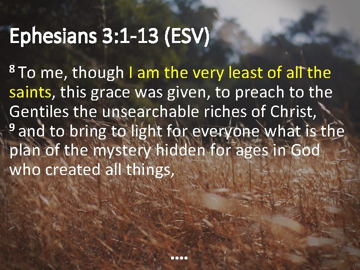 Ephesians 3: 1 -13 (ESV) 8 To me, though I am the very least
