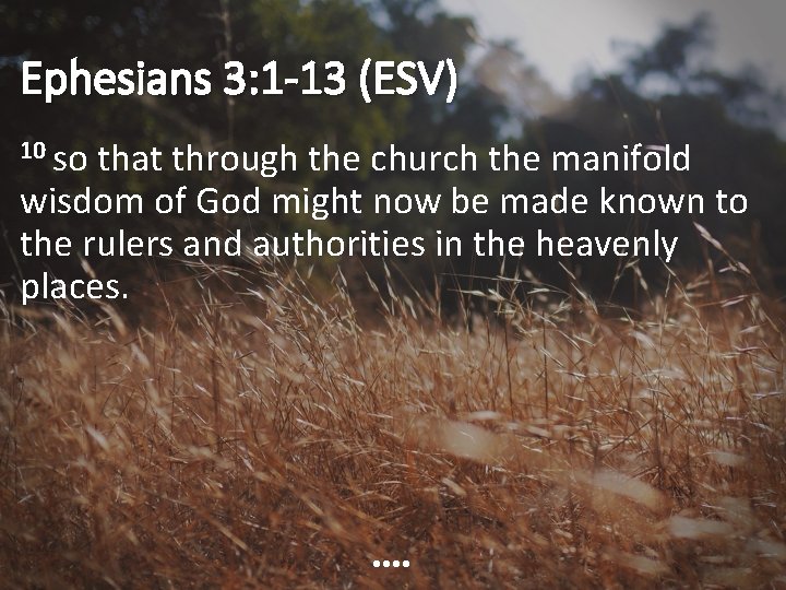 Ephesians 3: 1 -13 (ESV) 10 so that through the church the manifold wisdom