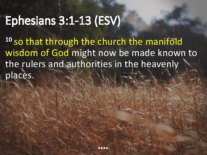 Ephesians 3: 1 -13 (ESV) 10 so that through the church the manifold wisdom