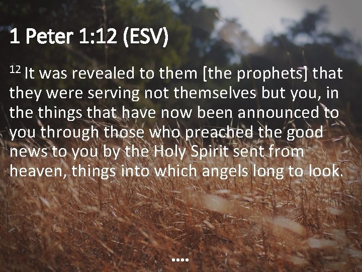 1 Peter 1: 12 (ESV) 12 It was revealed to them [the prophets] that