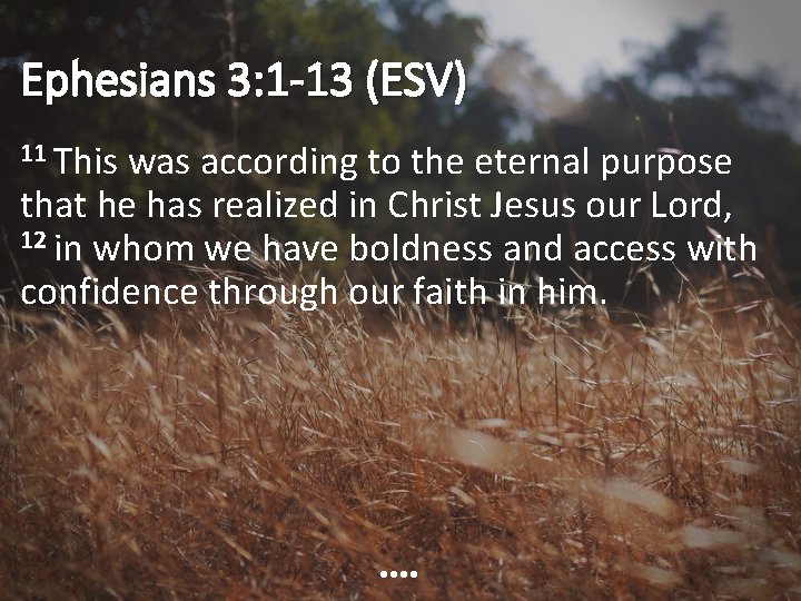 Ephesians 3: 1 -13 (ESV) 11 This was according to the eternal purpose that