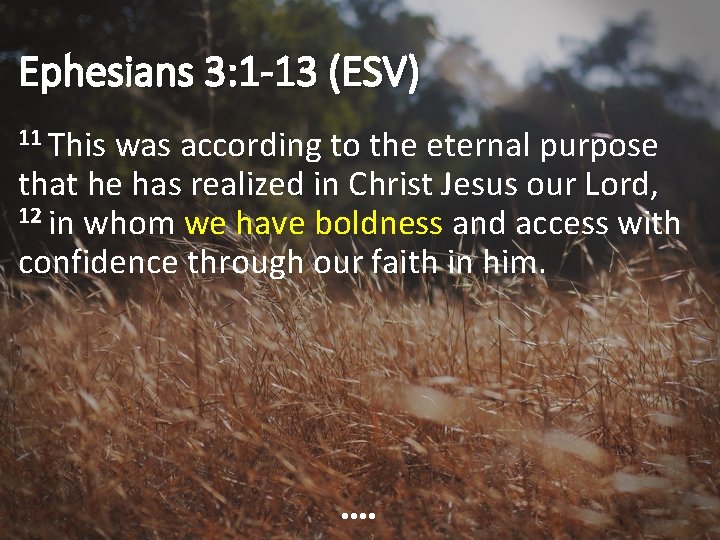 Ephesians 3: 1 -13 (ESV) 11 This was according to the eternal purpose that