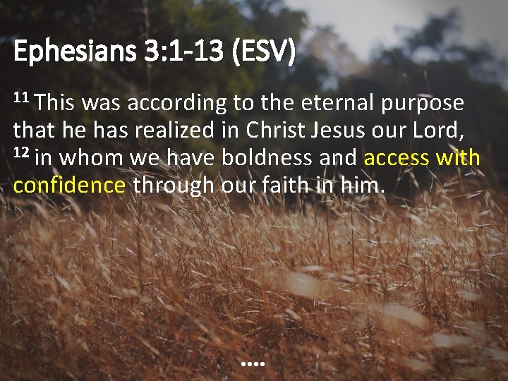Ephesians 3: 1 -13 (ESV) 11 This was according to the eternal purpose that