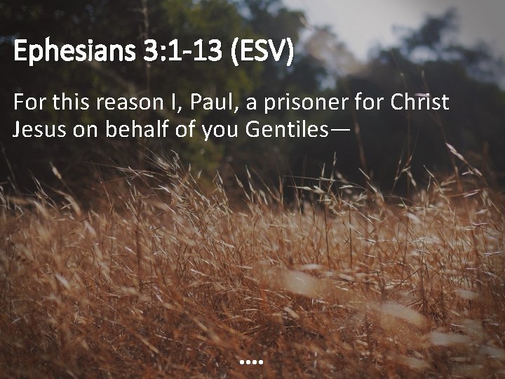 Ephesians 3: 1 -13 (ESV) For this reason I, Paul, a prisoner for Christ