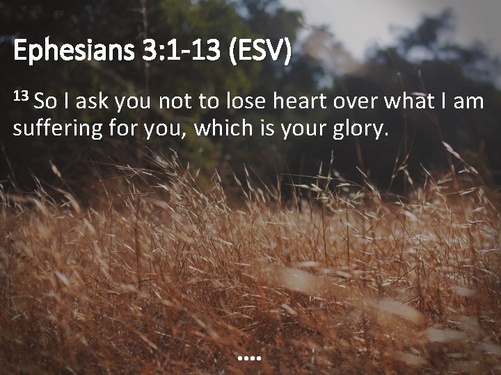 Ephesians 3: 1 -13 (ESV) 13 So I ask you not to lose heart