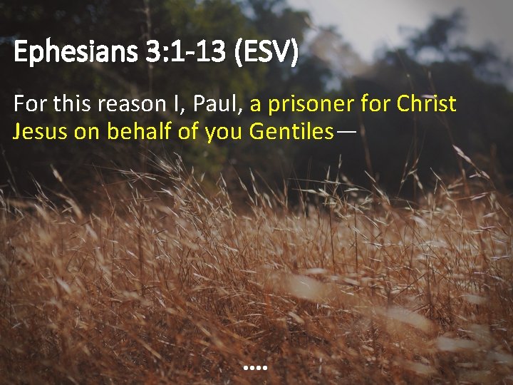 Ephesians 3: 1 -13 (ESV) For this reason I, Paul, a prisoner for Christ