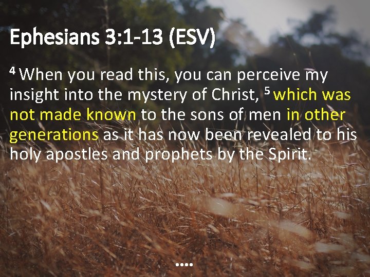 Ephesians 3: 1 -13 (ESV) 4 When you read this, you can perceive my