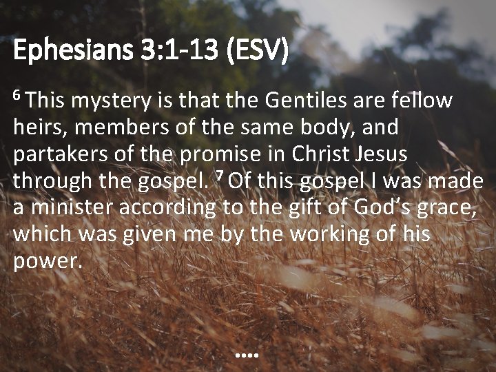 Ephesians 3: 1 -13 (ESV) 6 This mystery is that the Gentiles are fellow
