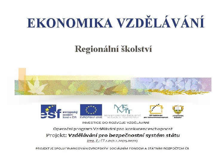 EKONOMIKA VZDĚLÁVÁNÍ Regionální školství 