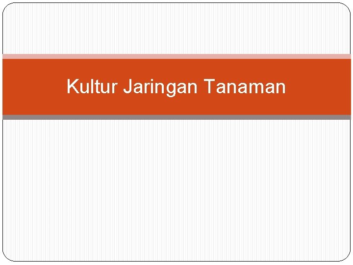 Kultur Jaringan Tanaman 