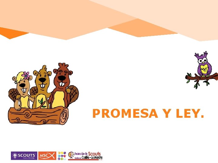 PROMESA Y LEY. 