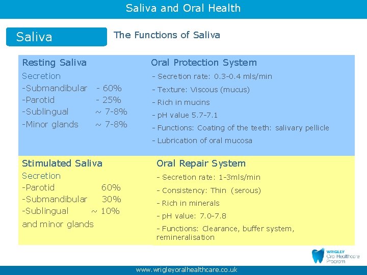 Saliva and Oral Health Saliva The Functions of Saliva Resting Saliva Oral Protection System