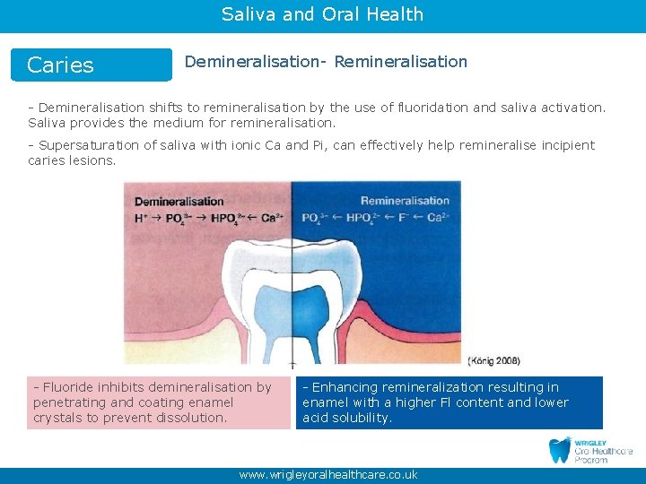 Saliva and Oral Health Caries Demineralisation- Remineralisation - Demineralisation shifts to remineralisation by the