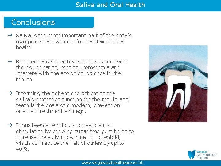 Saliva and Oral Health Conclusions Saliva is the most important part of the body’s