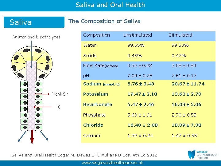 Saliva and Oral Health Saliva The Composition of Saliva Water and Electrolytes Composition Unstimulated