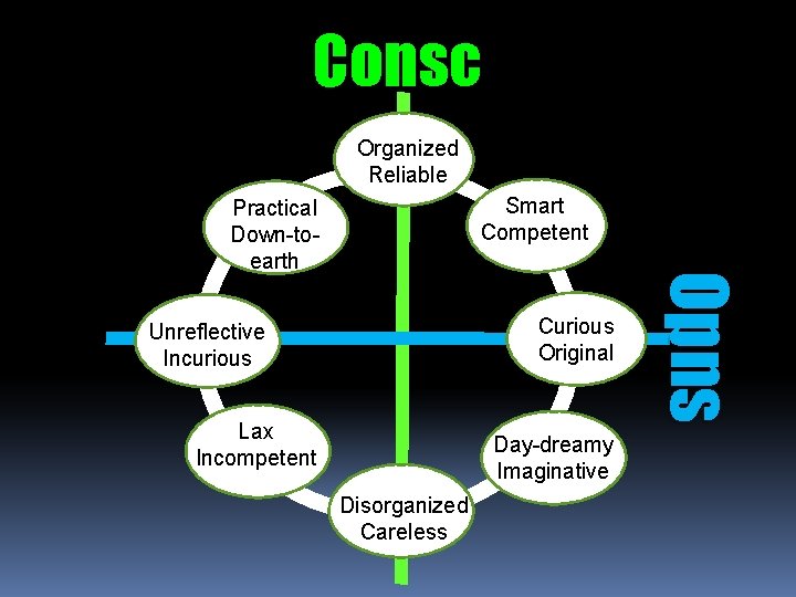 Consc Organized Reliable Smart Competent Curious Original Unreflective Incurious Lax Incompetent Disorganized Careless Day-dreamy