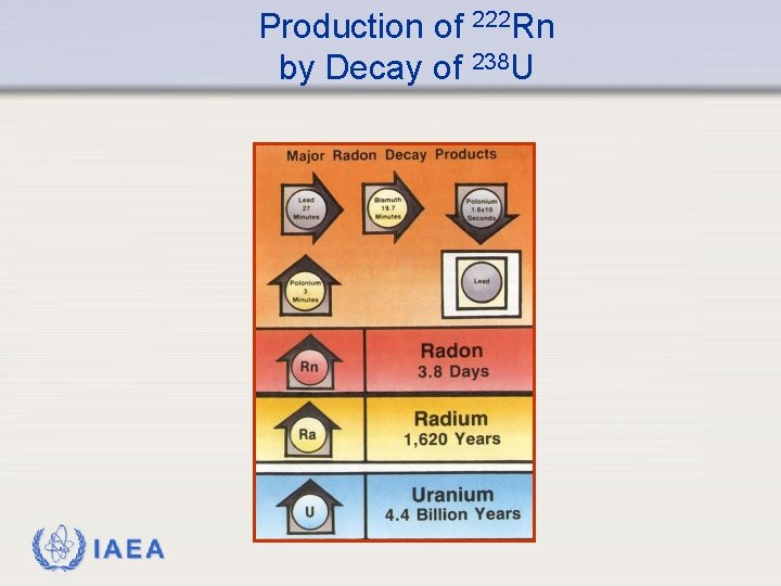 Production of 222 Rn by Decay of 238 U IAEA 