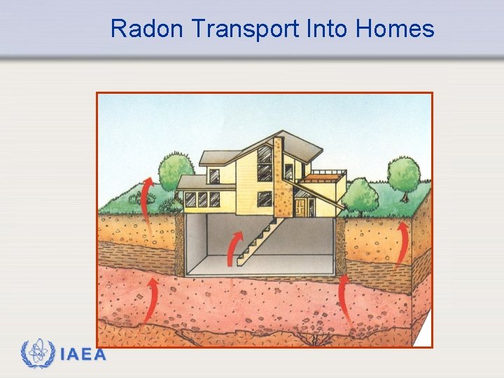 Radon Transport Into Homes IAEA 