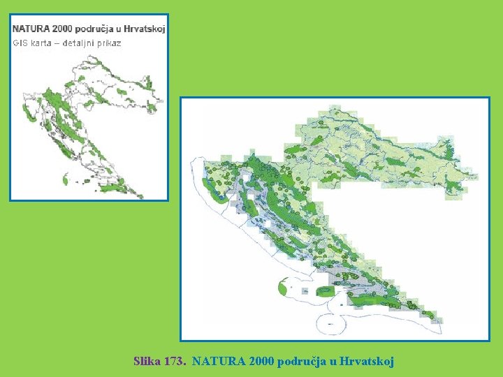 Slika 173. NATURA 2000 područja u Hrvatskoj 