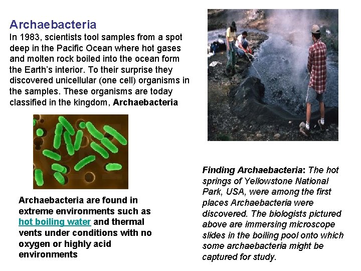 Archaebacteria In 1983, scientists tool samples from a spot deep in the Pacific Ocean