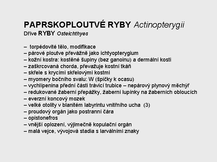 PAPRSKOPLOUTVÉ RYBY Actinopterygii Dříve RYBY Osteichthyes – torpédovité tělo, modifikace – párové ploutve převážně