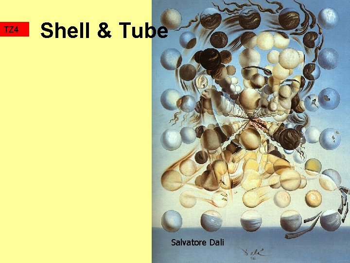 TZ 4 Shell & Tube Salvatore Dali 