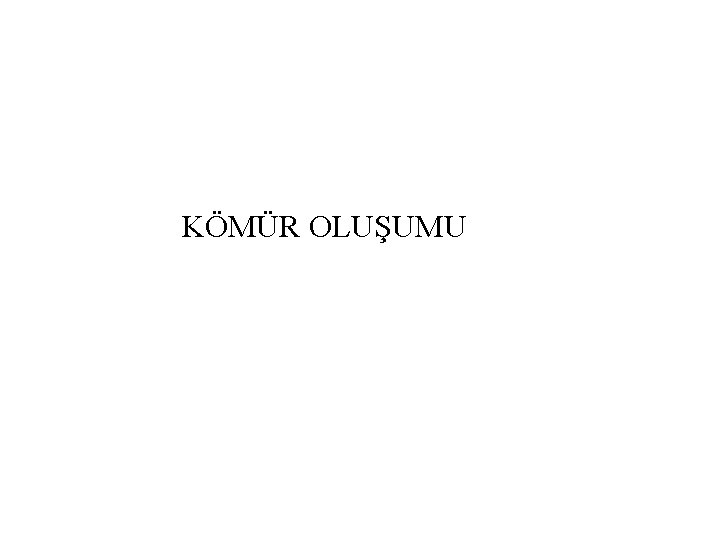 KÖMÜR OLUŞUMU 