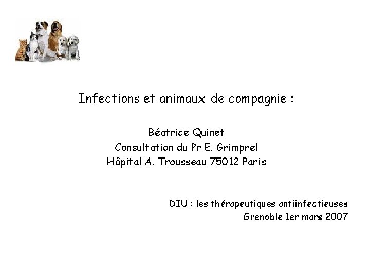 Infections et animaux de compagnie : Béatrice Quinet Consultation du Pr E. Grimprel Hôpital