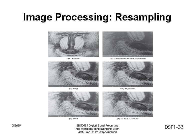 Image Processing: Resampling CESd. SP EEET 0485 Digital Signal Processing http: //embedsigproc. wordpress. com Image Processing: Resampling CESd. SP EEET 0485 Digital Signal Processing http: //embedsigproc. wordpress. com