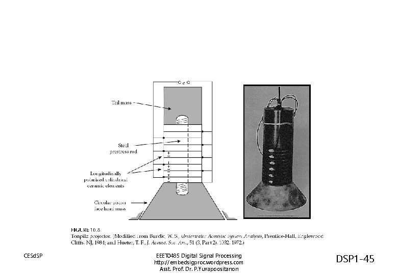 CESd. SP EEET 0485 Digital Signal Processing http: //embedsigproc. wordpress. com Asst. Prof. Dr. CESd. SP EEET 0485 Digital Signal Processing http: //embedsigproc. wordpress. com Asst. Prof. Dr.