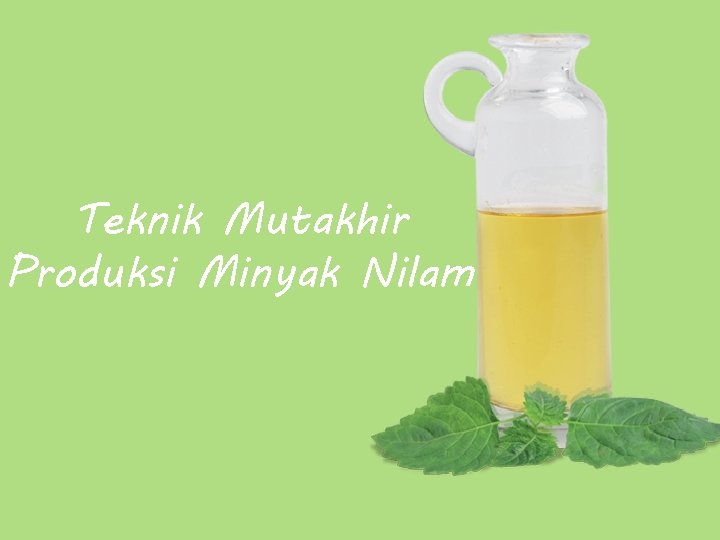 Teknik Mutakhir Produksi Minyak Nilam 