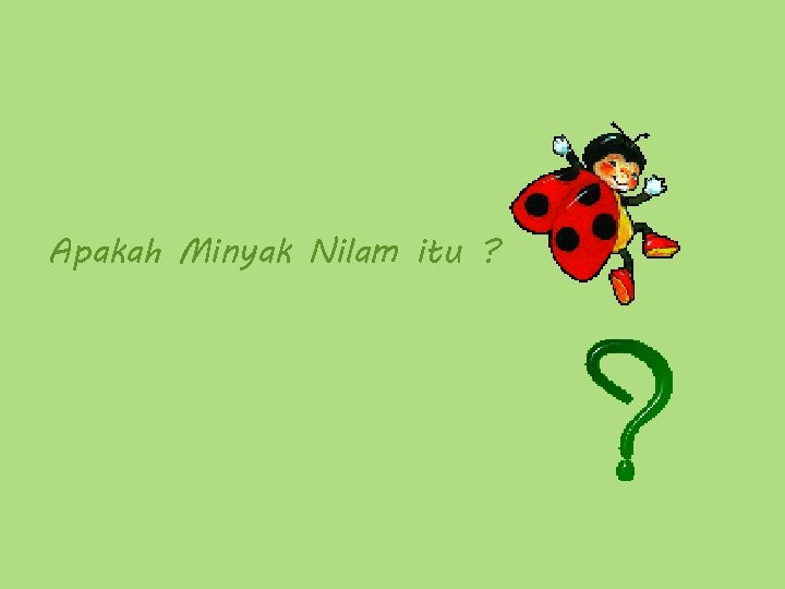 Apakah Minyak Nilam itu ? 