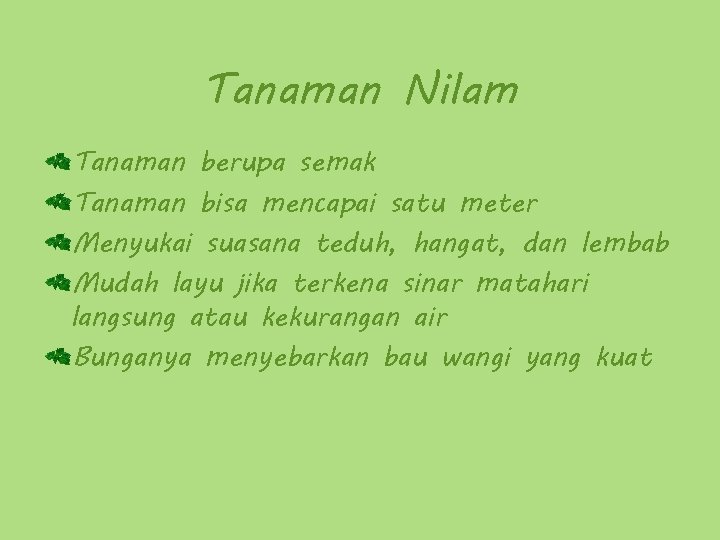 Tanaman Nilam Tanaman berupa semak Tanaman bisa mencapai satu meter Menyukai suasana teduh, hangat,