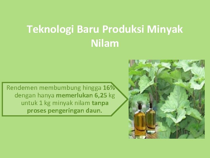 Teknologi Baru Produksi Minyak Nilam Rendemen membumbung hingga 16% dengan hanya memerlukan 6, 25