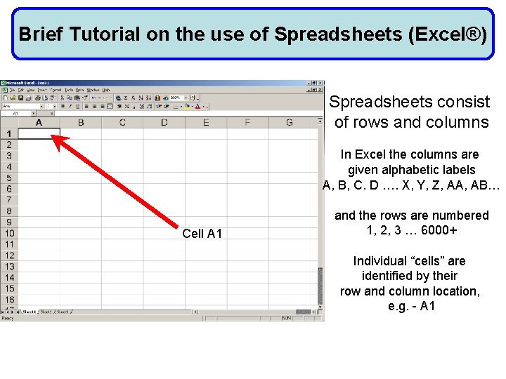 Brief Tutorial on the use of Spreadsheets (Excel®) Spreadsheets consist of rows and columns