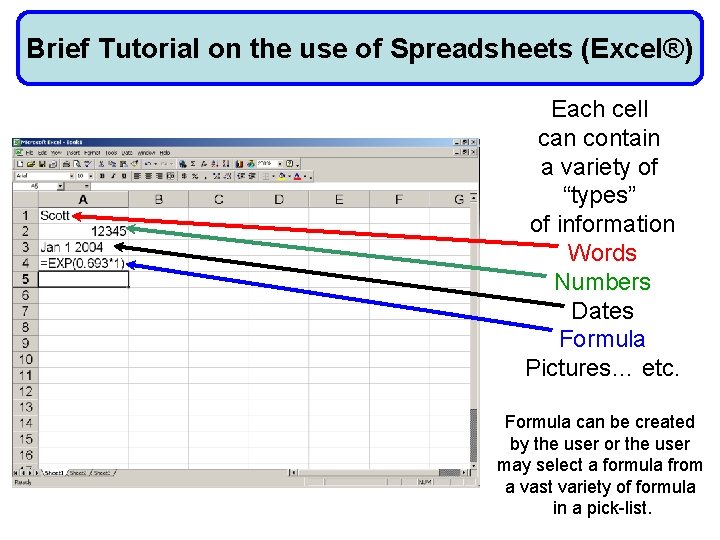 Brief Tutorial on the use of Spreadsheets (Excel®) Each cell can contain a variety