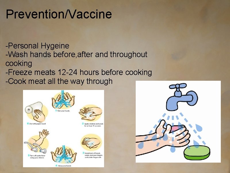 Prevention/Vaccine -Personal Hygeine -Wash hands before, after and throughout cooking -Freeze meats 12 -24