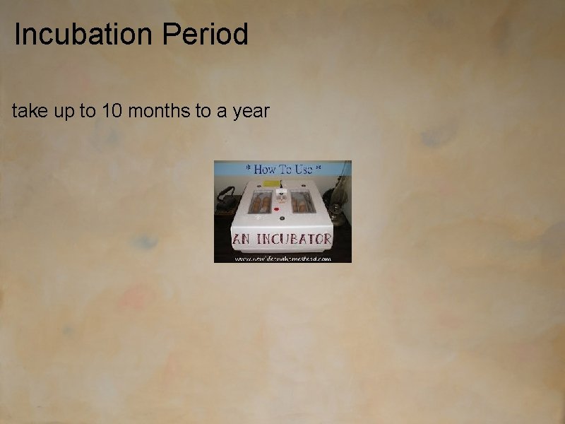 Incubation Period take up to 10 months to a year 