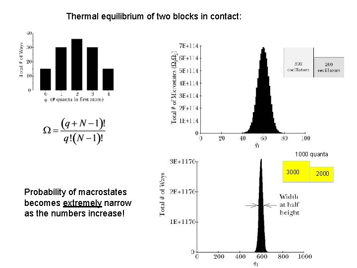 Thermal equilibrium of two blocks in contact: 1000 quanta 3000 Probability of macrostates becomes