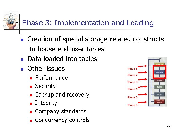 IST 210 Phase 3: Implementation and Loading n n n Creation of special storage-related