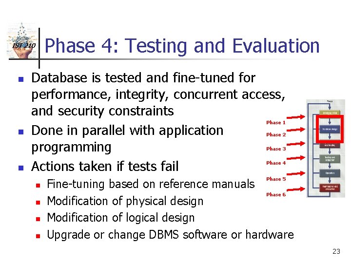 Phase 4: Testing and Evaluation IST 210 n Database is tested and fine-tuned for