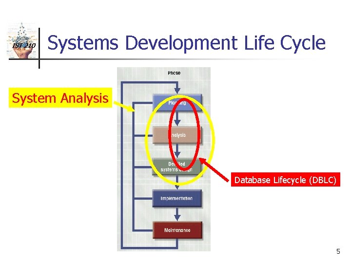 IST 210 Systems Development Life Cycle System Analysis Database Lifecycle (DBLC) 5 