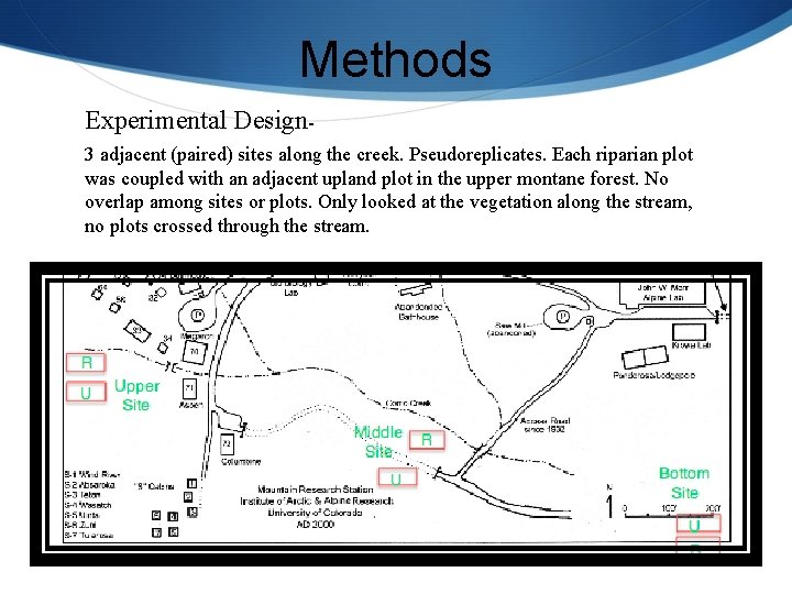 Methods Experimental Design 3 adjacent (paired) sites along the creek. Pseudoreplicates. Each riparian plot