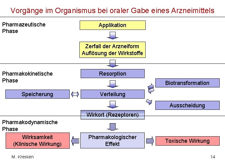 Vorgänge im Organismus bei oraler Gabe eines Arzneimittels Pharmazeutische Phase Applikation Zerfall der Arzneiform