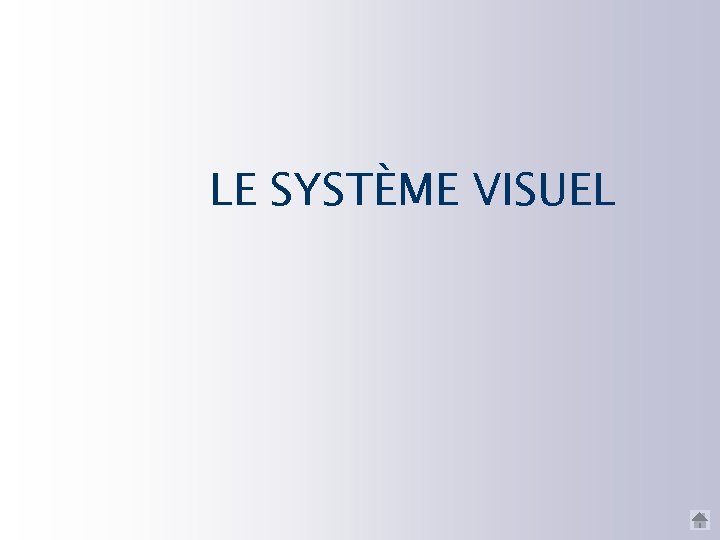 LE SYSTÈME VISUEL 