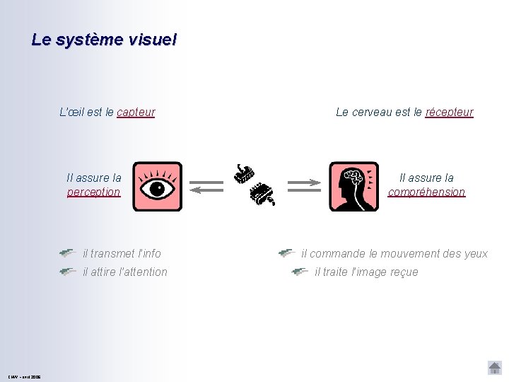 Le système visuel L’œil est le capteur Il assure la perception il transmet l’info