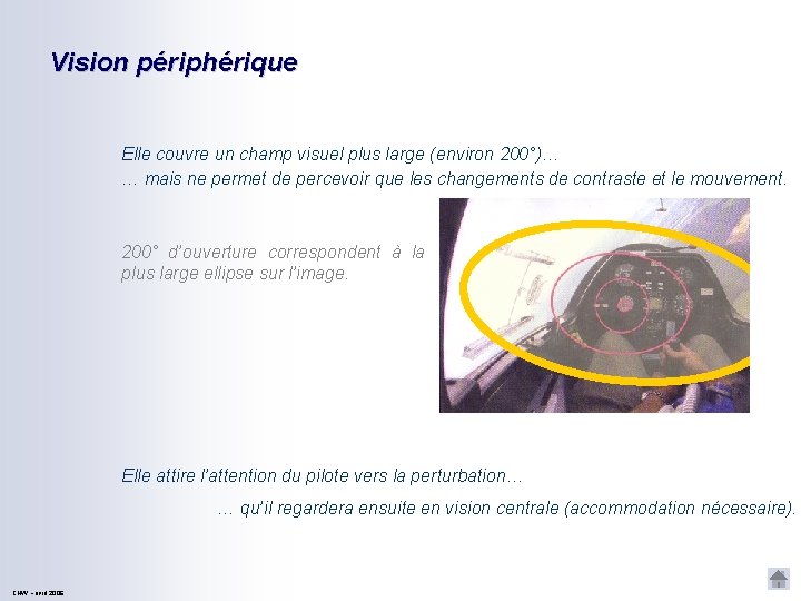 Vision périphérique Elle couvre un champ visuel plus large (environ 200°)… … mais ne