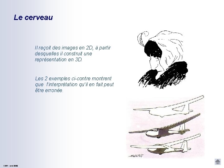 Le cerveau Il reçoit des images en 2 D, à partir desquelles il construit