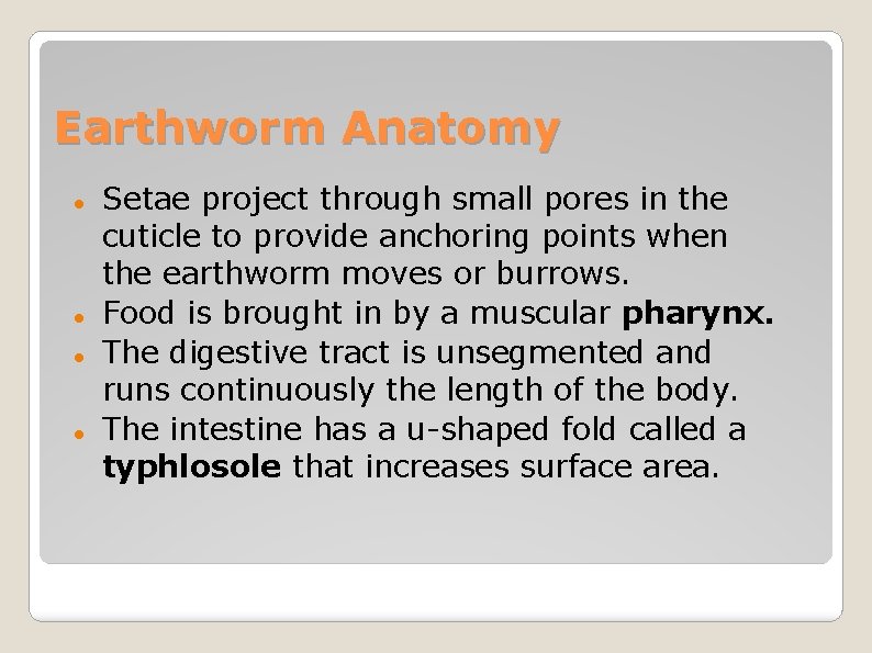 Earthworm Anatomy Setae project through small pores in the cuticle to provide anchoring points